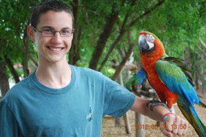 Bahamas Parrot