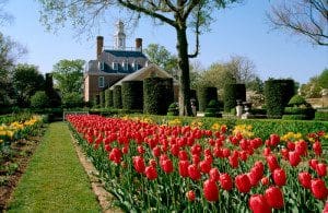 Colonial Williamsburg governor palace garden