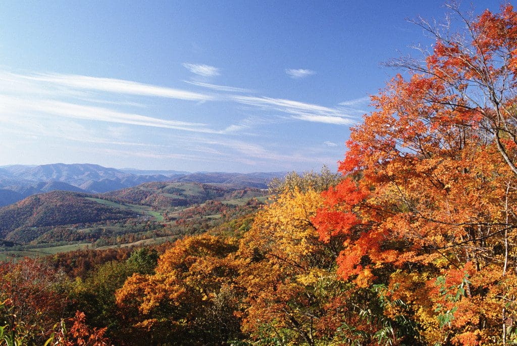 Virginia fall foliage