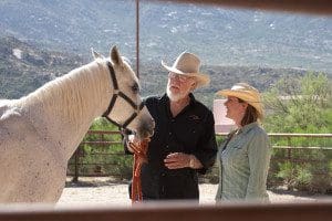 Miraval Equine Experience