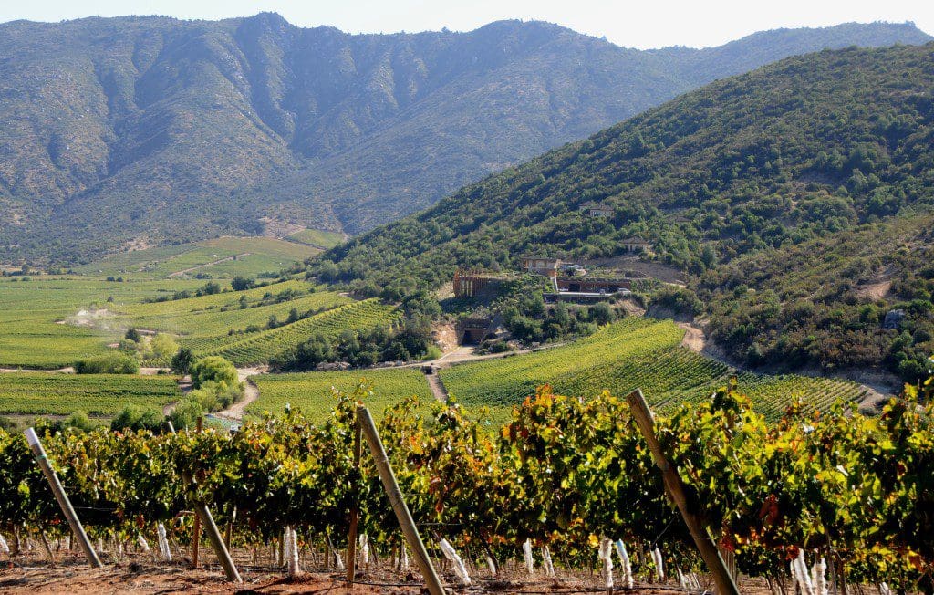 wine travel in chile