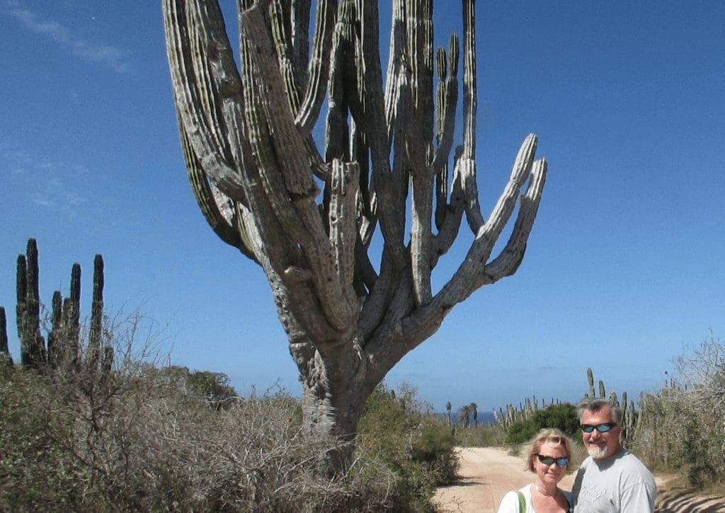 Baja California