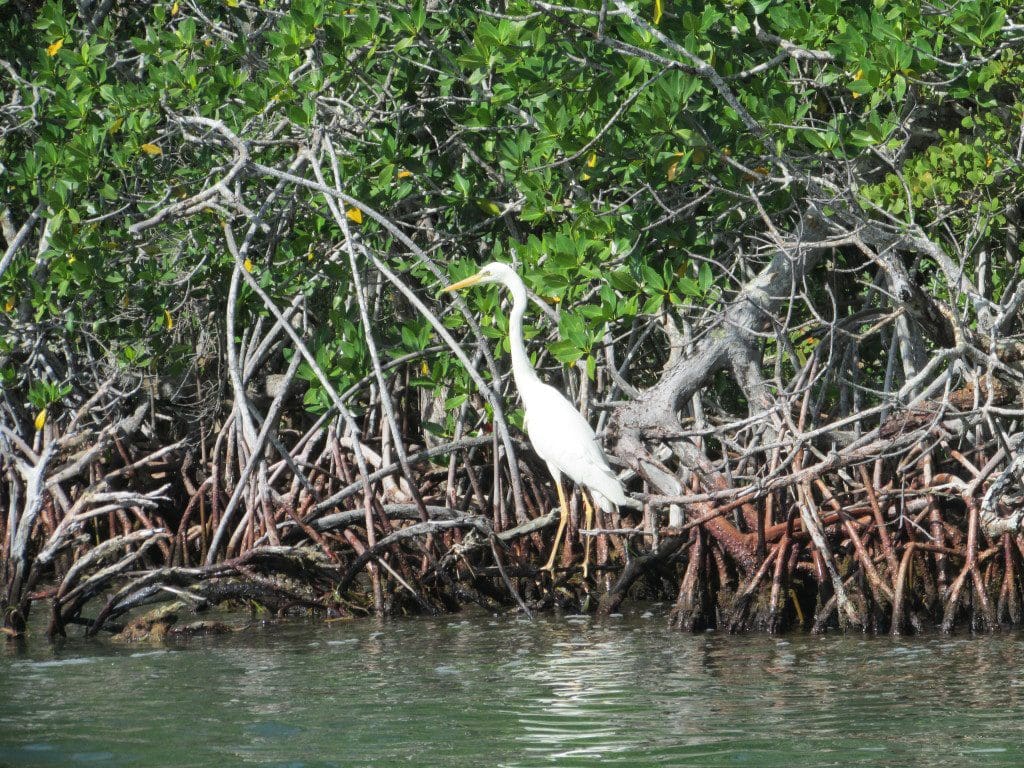 Key Largo