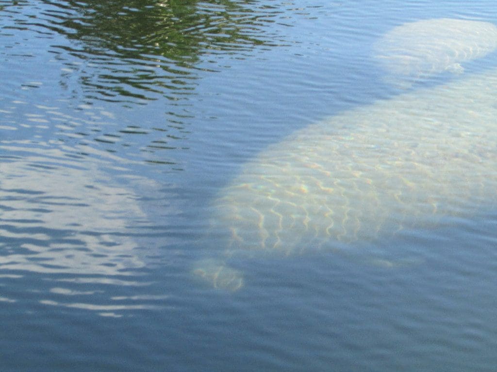 Key Largo