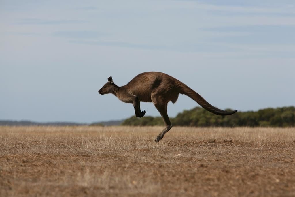 Luxury lodges in Australia