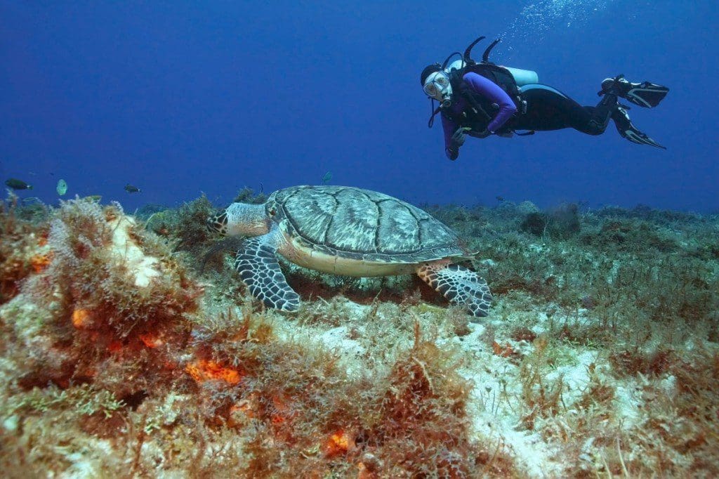 Cozumel