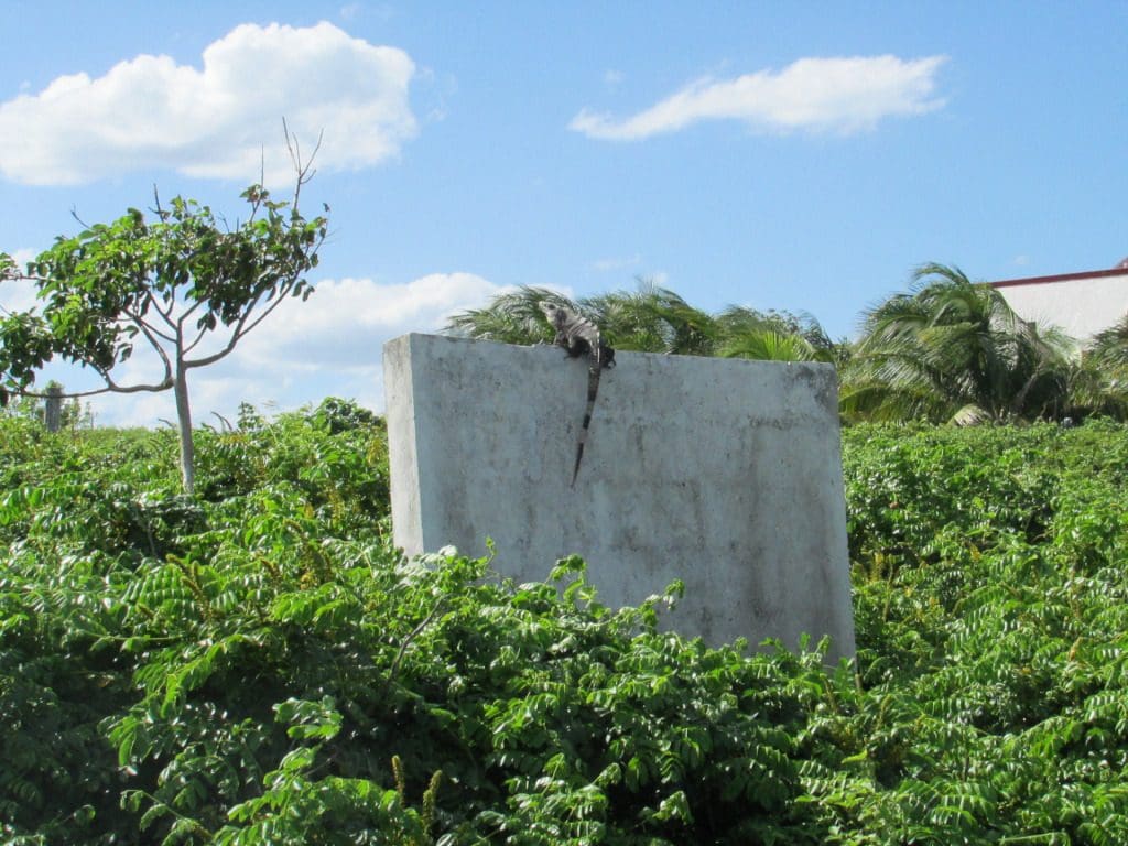 Isla Mujeres