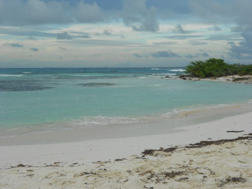 Hyatt Ziva Cancun