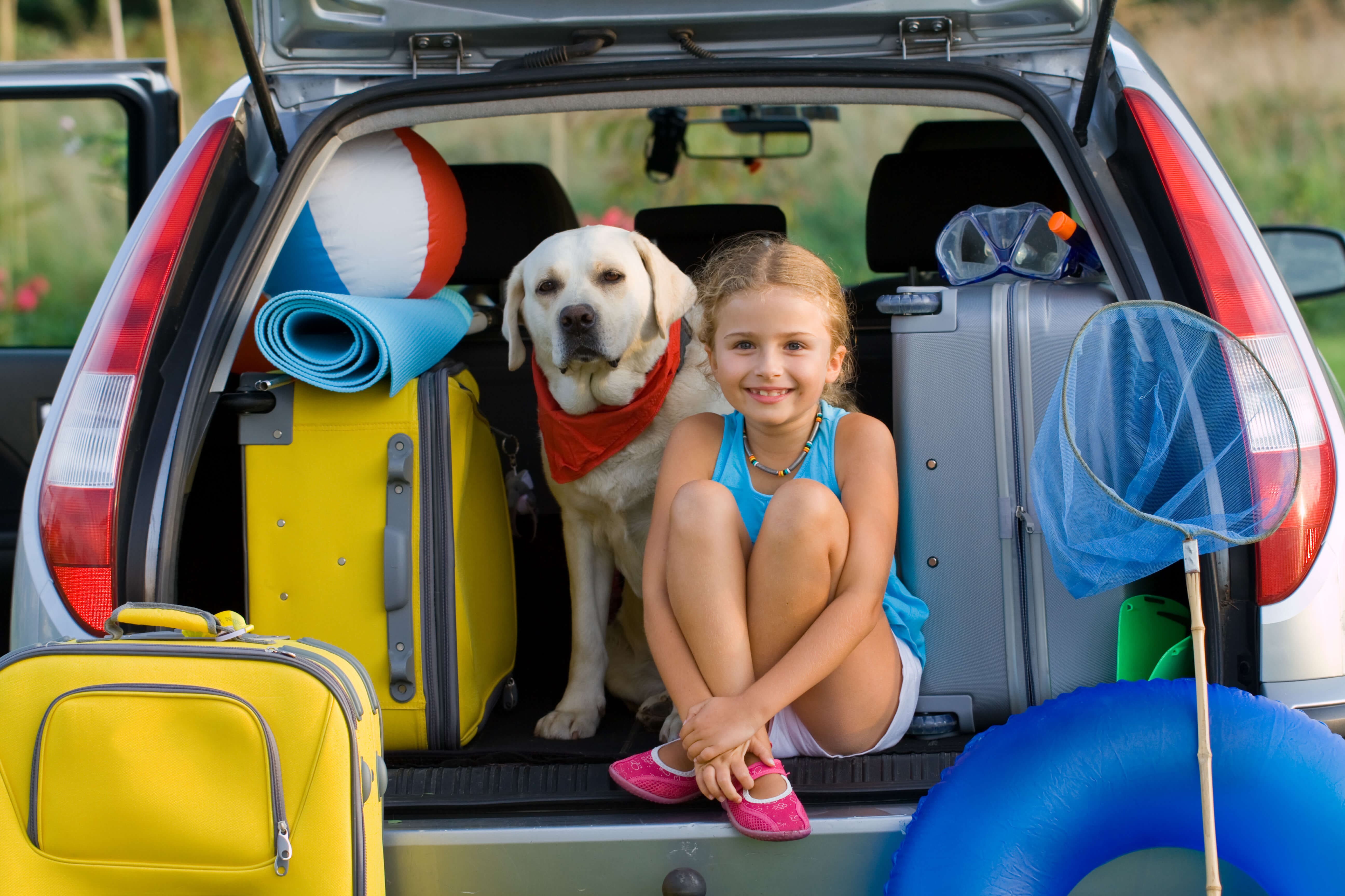 where to travel with pets