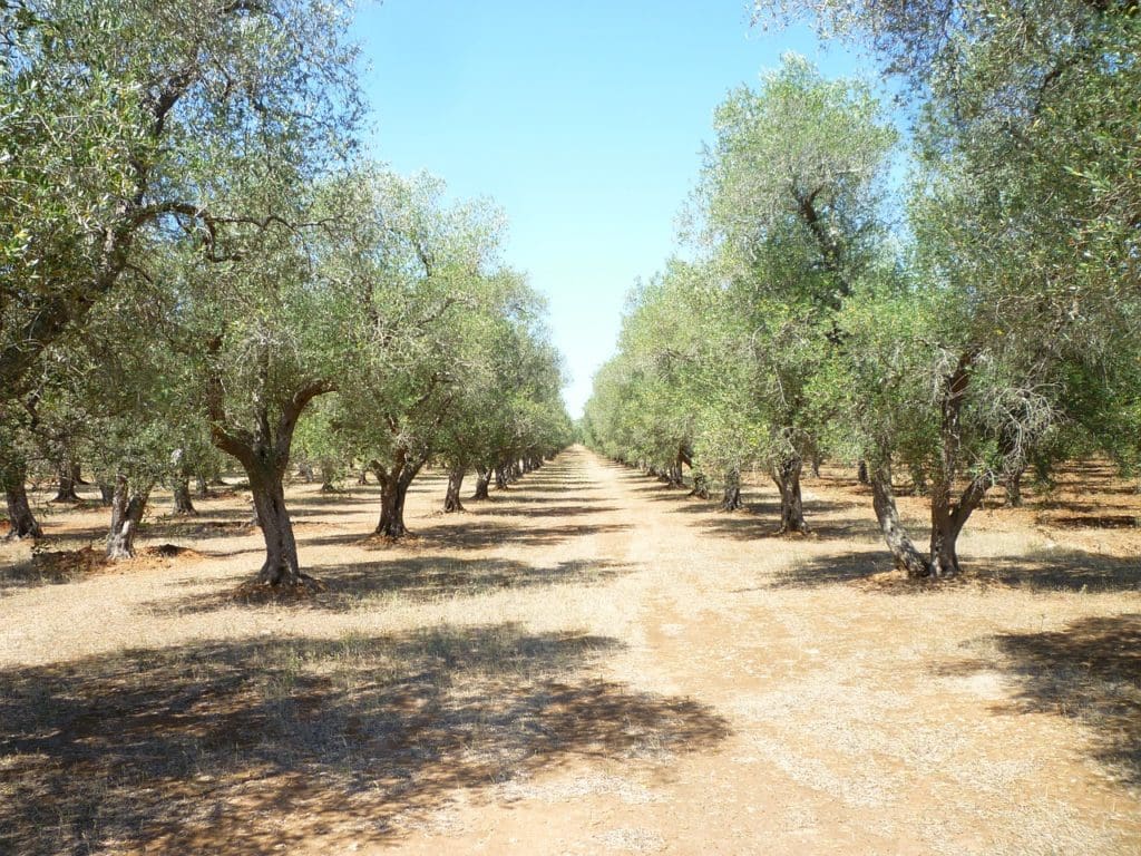 Puglia