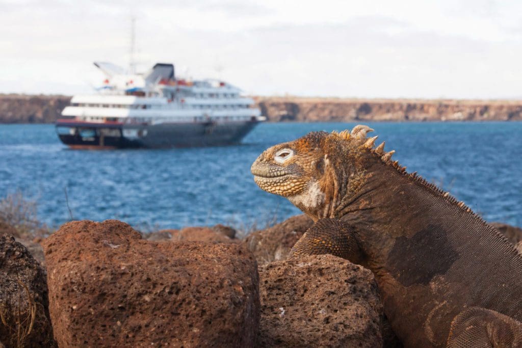 Silver Galapagos