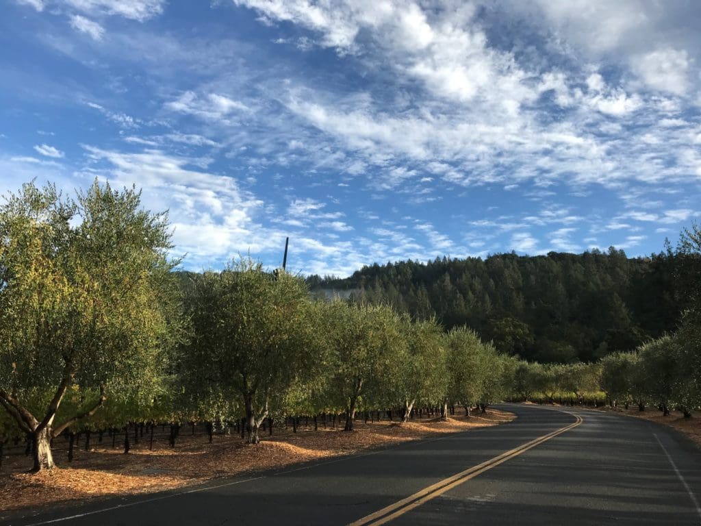 napa valley