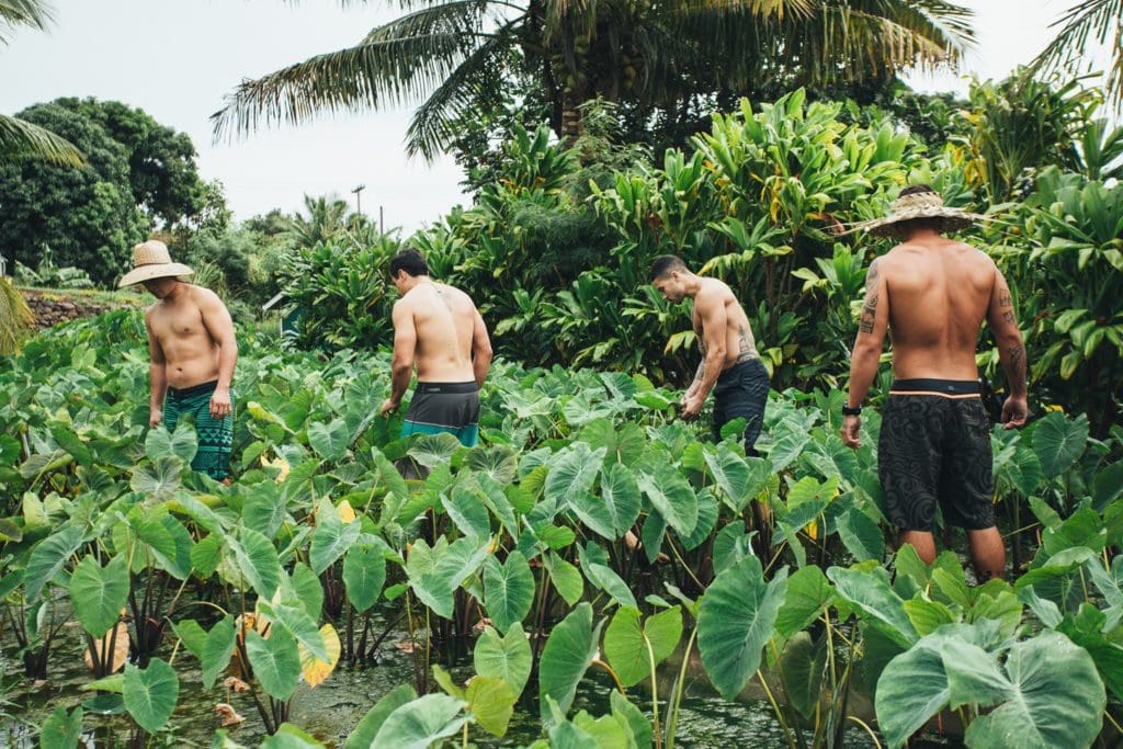 hawaiis cultural heritage