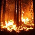 Wildfire Emergencies