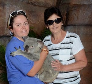 Australia Zoo, Koala Bear