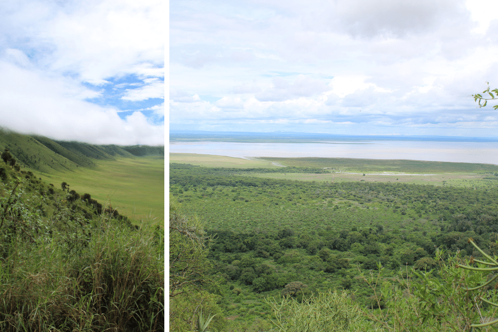 Ngorongoro Crater