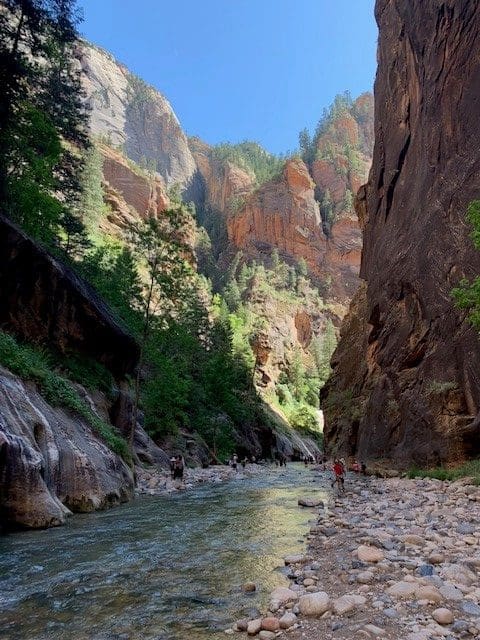 hiking in a national park