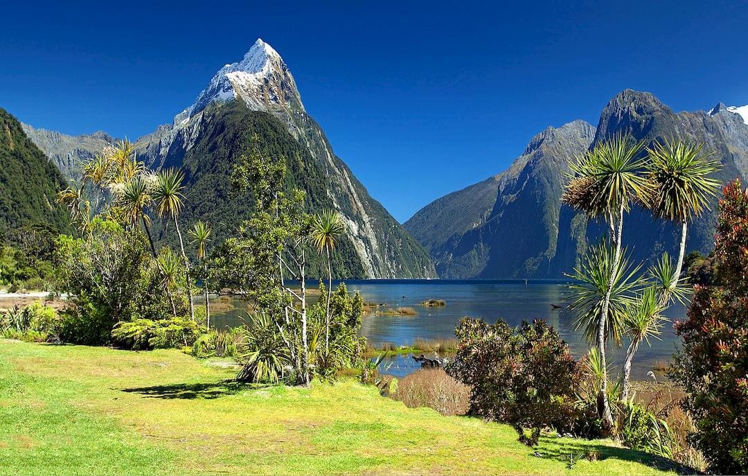 Fiordland New Zealand