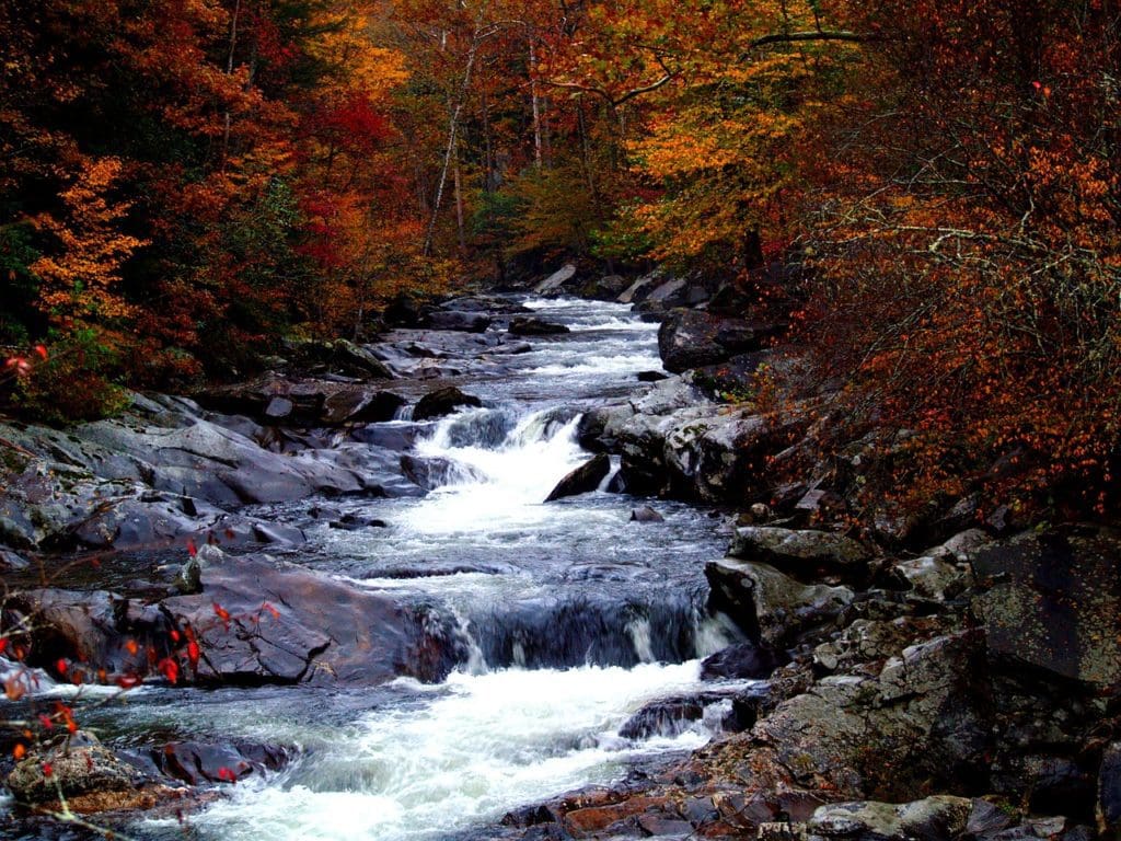 Smoky Mountains