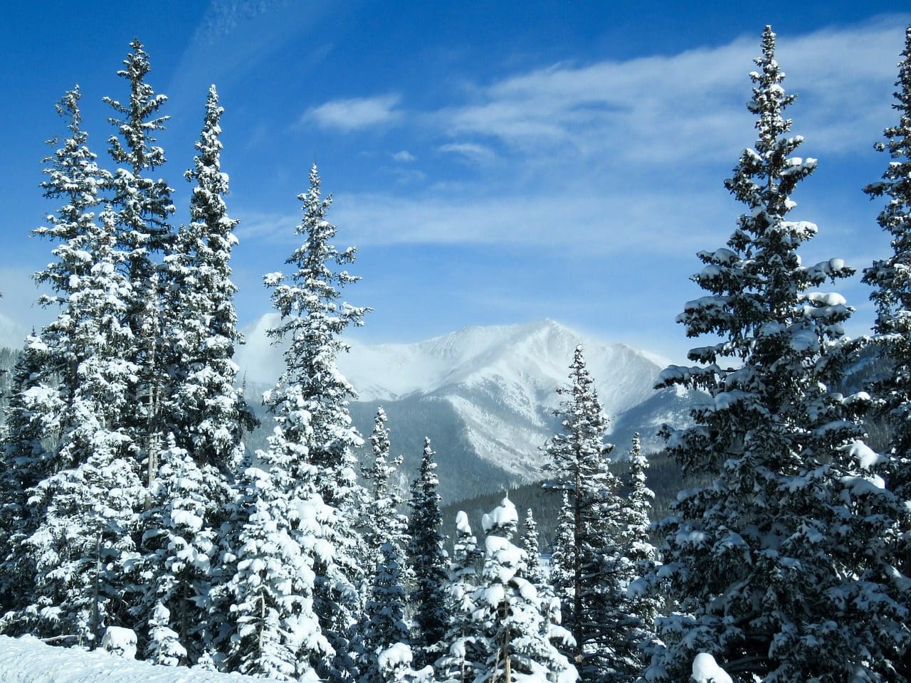 5-of-the-most-exciting-winter-activities-in-colorado-besides-skiing