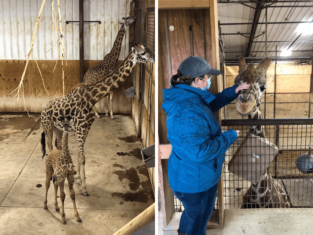 columbus zoo field trip