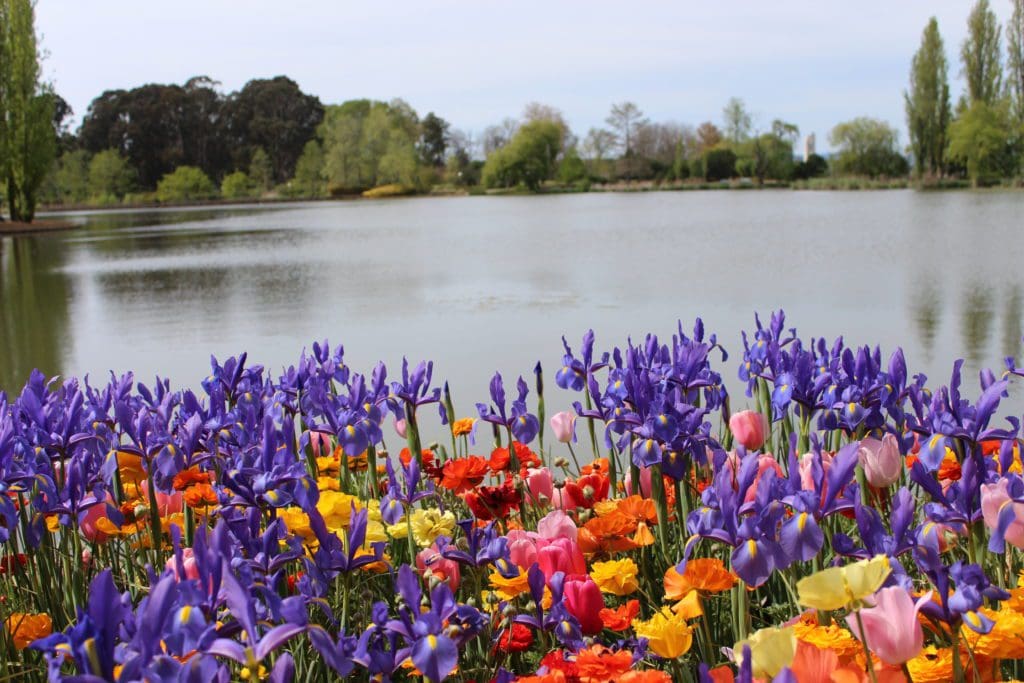 Floriade