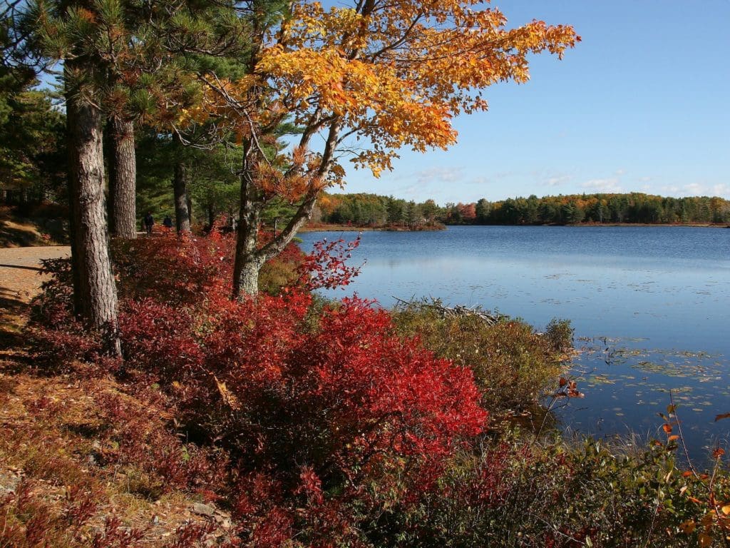 Acadia National Park