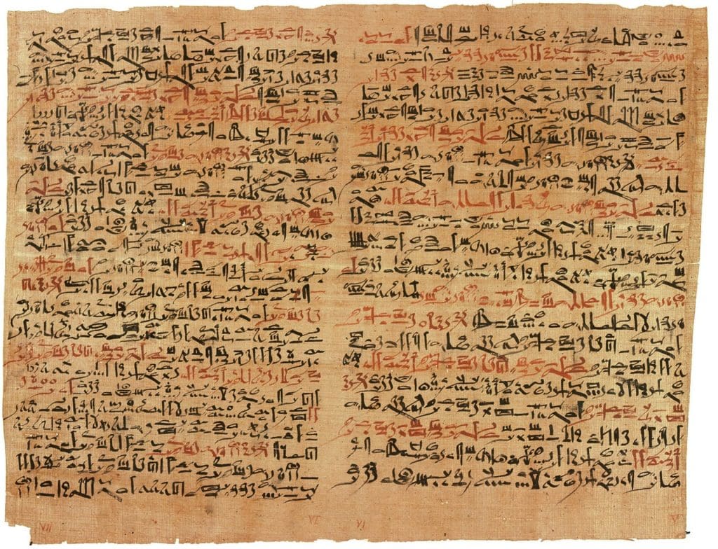 Egypt papyrus 