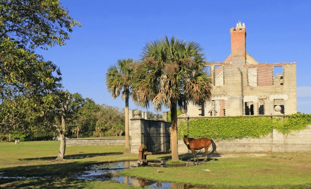 Cumberland Island, Georgia