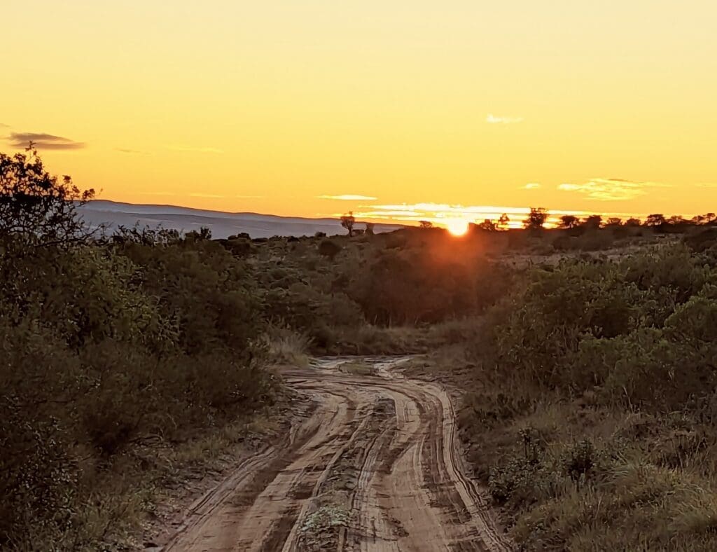 South Africa Safari