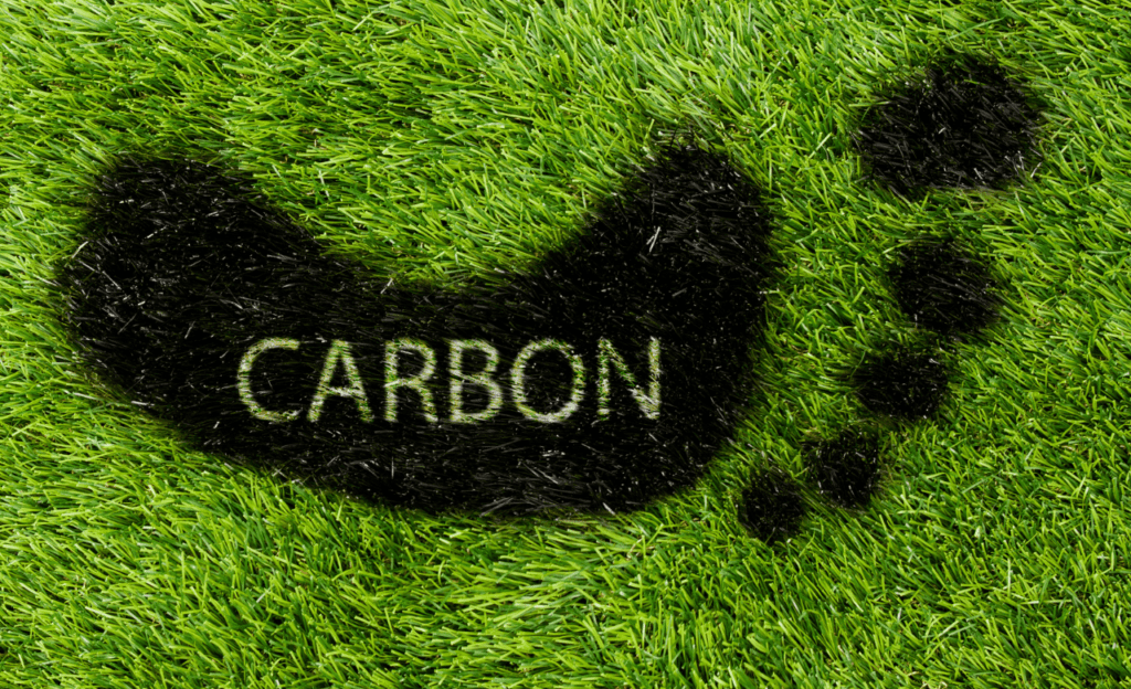 carbon footprint