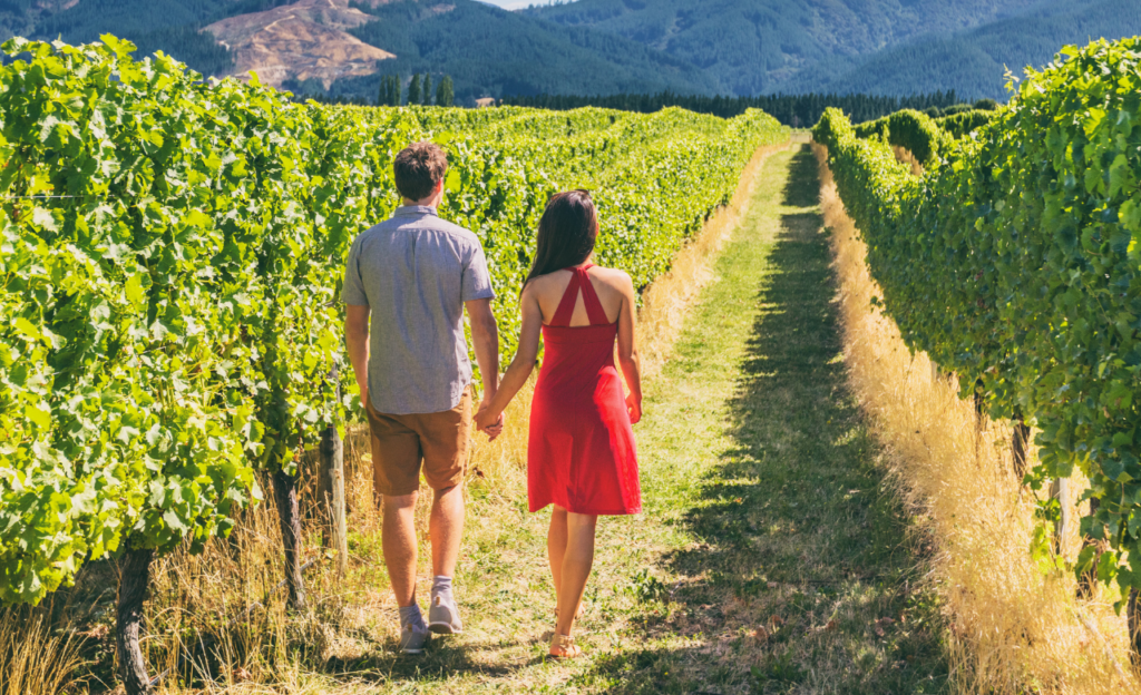 eco-friendly honeymoon New Zealand