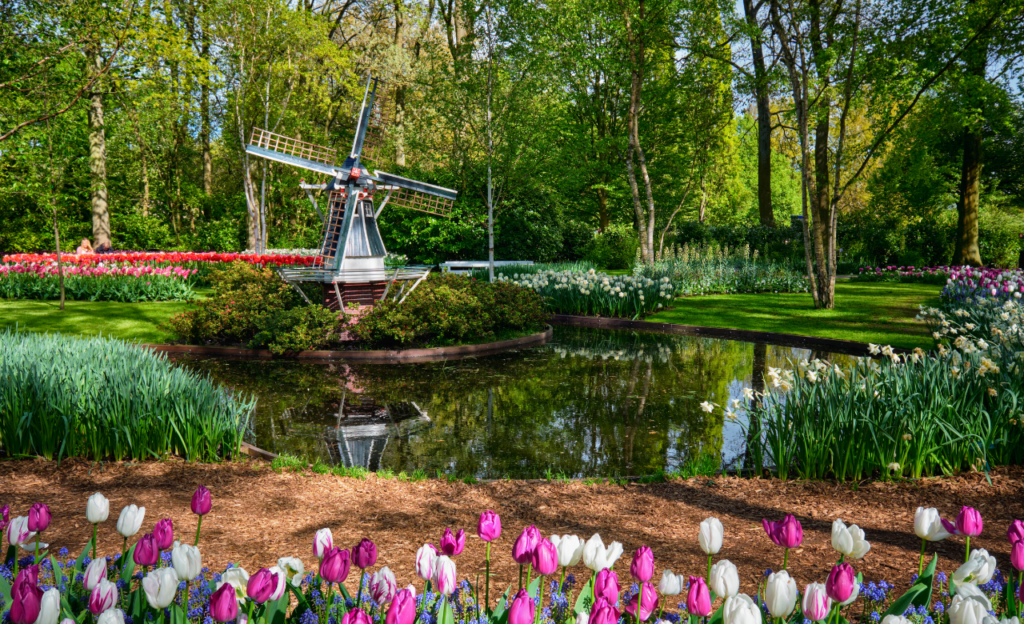 Keukenhof Tulip Time