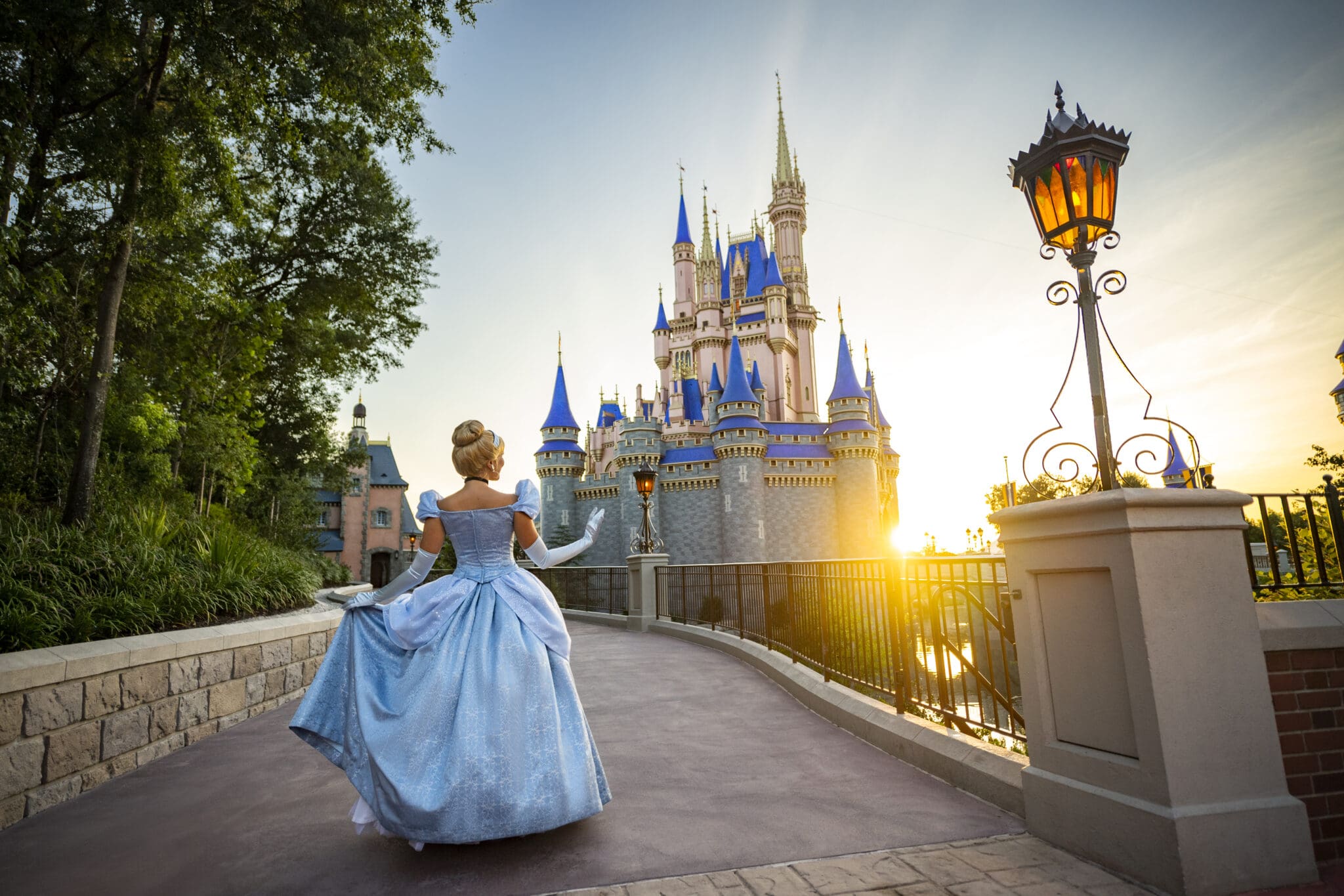 The Ultimate VIP Disney World Experience Your 2025 Luxury Guide