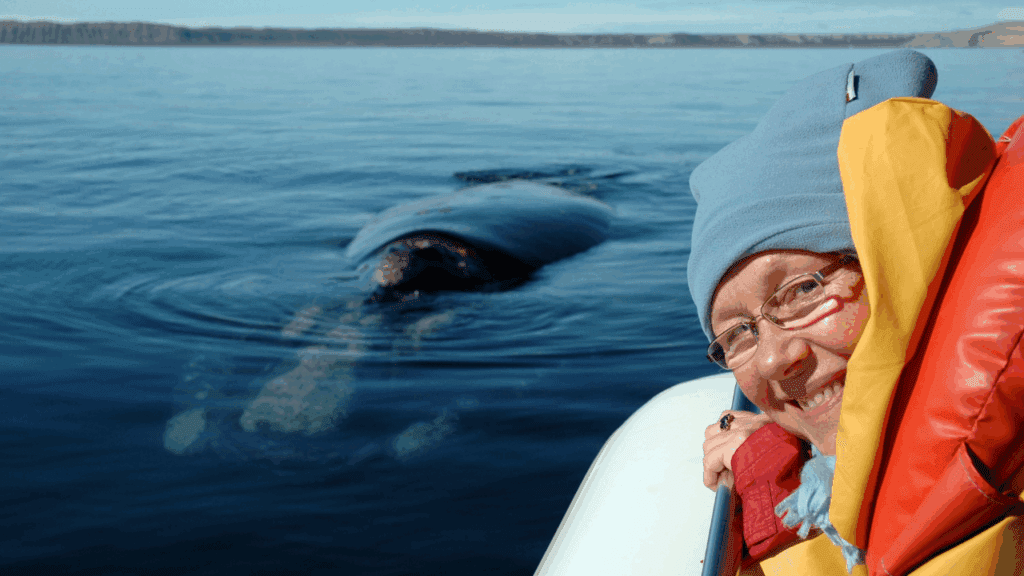 whale watching, Luxury travel experiences 2026