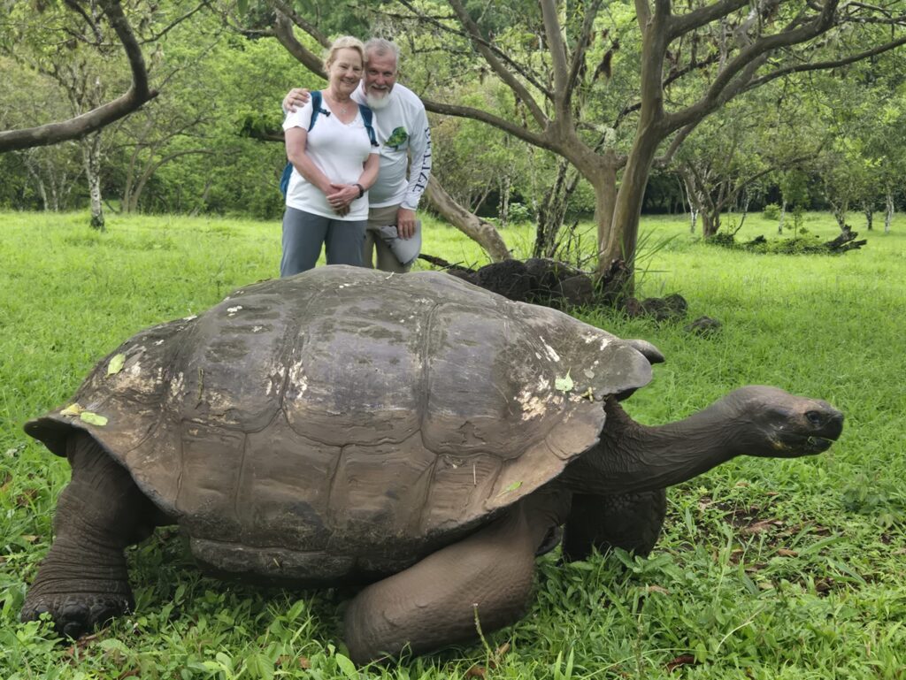 Galapagos giant tortoise